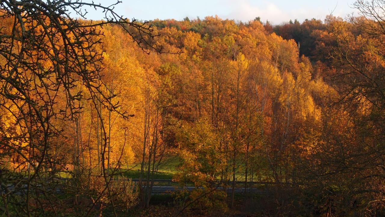 Ferienwohnung Und Pension "Zur Aue" Konigsbruck Екстер'єр фото