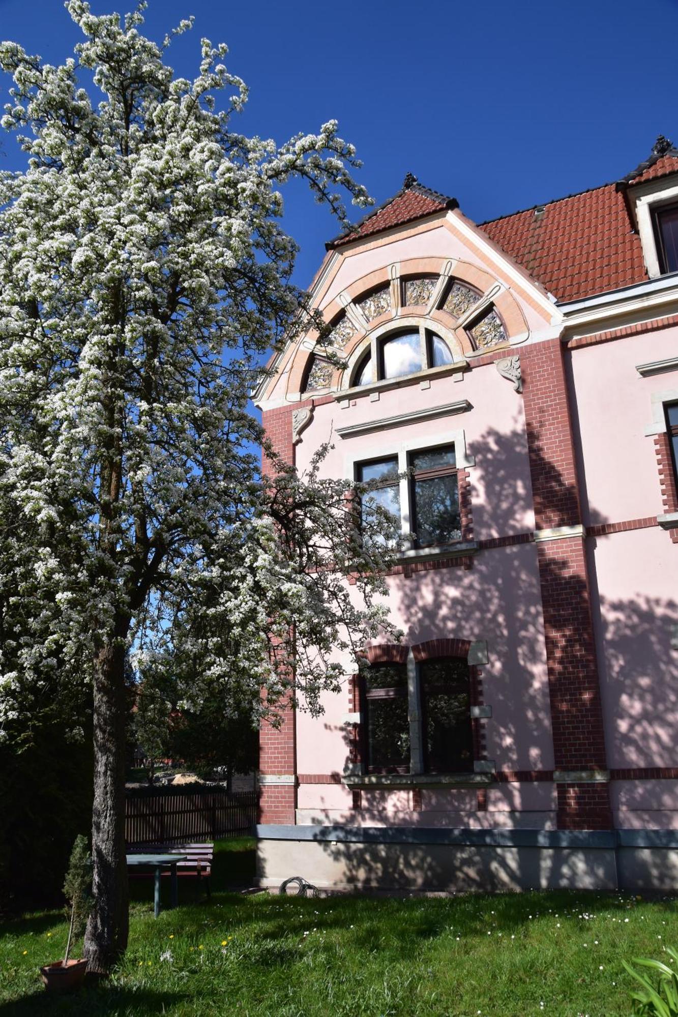Ferienwohnung Und Pension "Zur Aue" Konigsbruck Екстер'єр фото