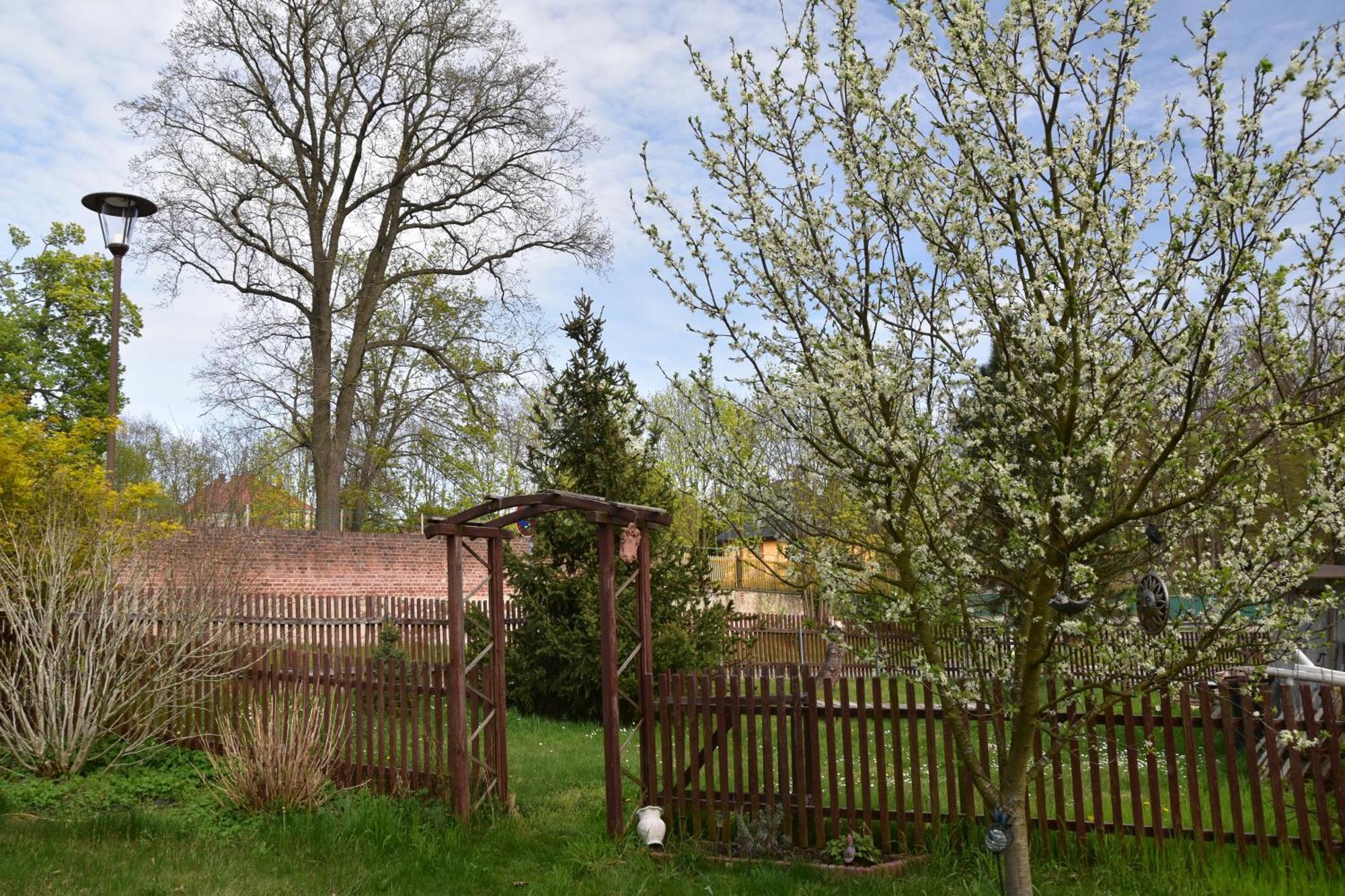 Ferienwohnung Und Pension "Zur Aue" Konigsbruck Екстер'єр фото