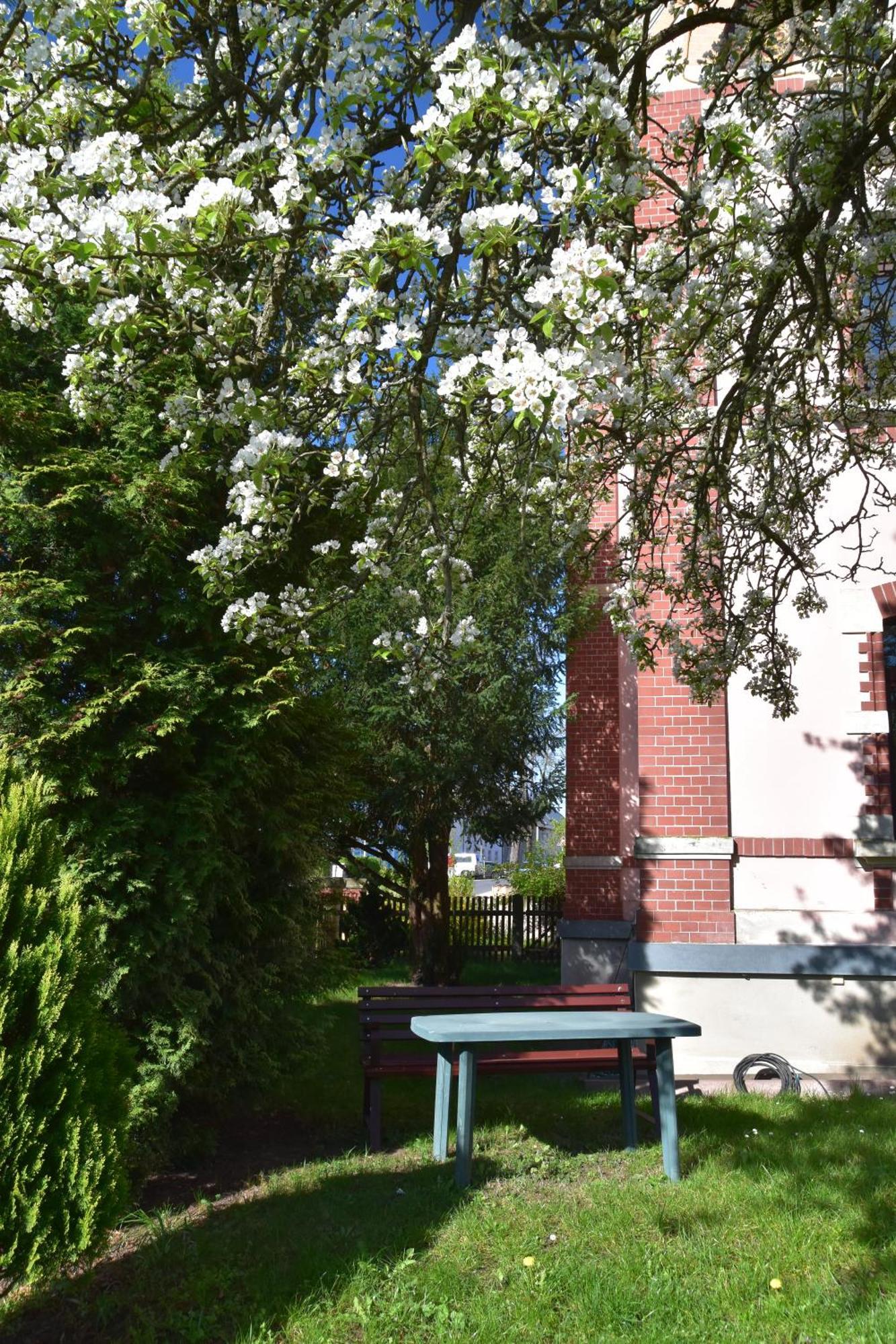 Ferienwohnung Und Pension "Zur Aue" Konigsbruck Екстер'єр фото